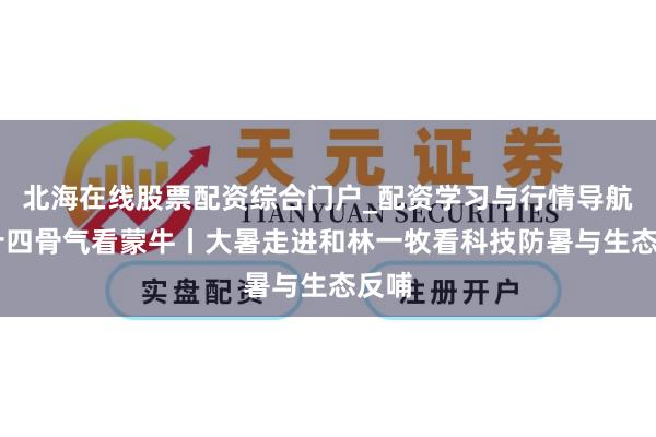 北海在线股票配资综合门户_配资学习与行情导航 二十四骨气看蒙牛丨大暑走进和林一牧看科技防暑与生态反哺