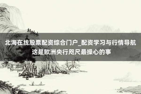 北海在线股票配资综合门户_配资学习与行情导航 这是欧洲央行咫尺最操心的事