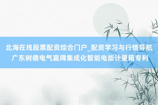 北海在线股票配资综合门户_配资学习与行情导航 广东树德电气赢得集成化智能电能计量箱专利