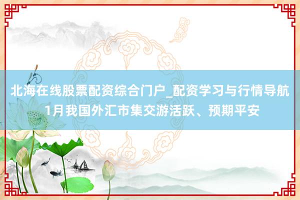 北海在线股票配资综合门户_配资学习与行情导航 1月我国外汇市集交游活跃、预期平安