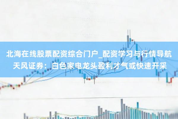 北海在线股票配资综合门户_配资学习与行情导航 天风证券：白色家电龙头盈利才气或快速开采