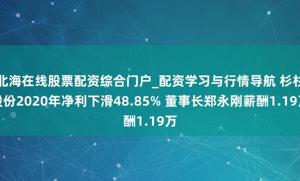北海在线股票配资综合门户_配资学习与行情导航 杉杉股份2020年净利下滑48.85% 董事长郑永刚薪酬1.19万