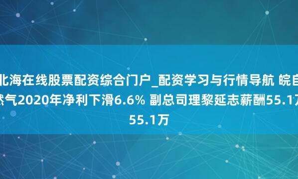 北海在线股票配资综合门户_配资学习与行情导航 皖自然气2020年净利下滑6.6% 副总司理黎延志薪酬55.1万