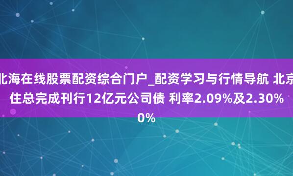 北海在线股票配资综合门户_配资学习与行情导航 北京住总完成刊行12亿元公司债 利率2.09%及2.30%
